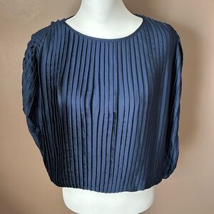 Bailey /44 Silky Pleated Blouse (Size Large)